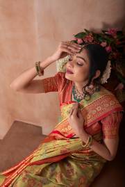 Np Saree  DN 9747A TO 9747D